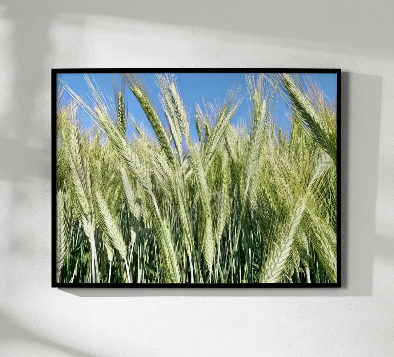 Campo di segale poster da Art Studio by Iris