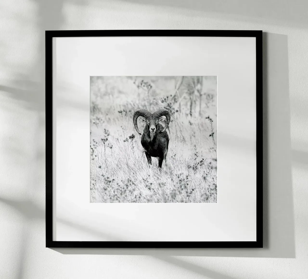 Horns - Nicolàs Merino poster con telaio in plastica da Pictufy