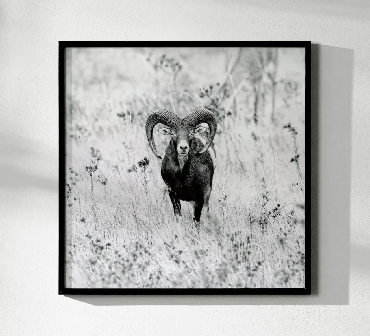 Horns - Nicolàs Merino poster con telaio in plastica da Pictufy