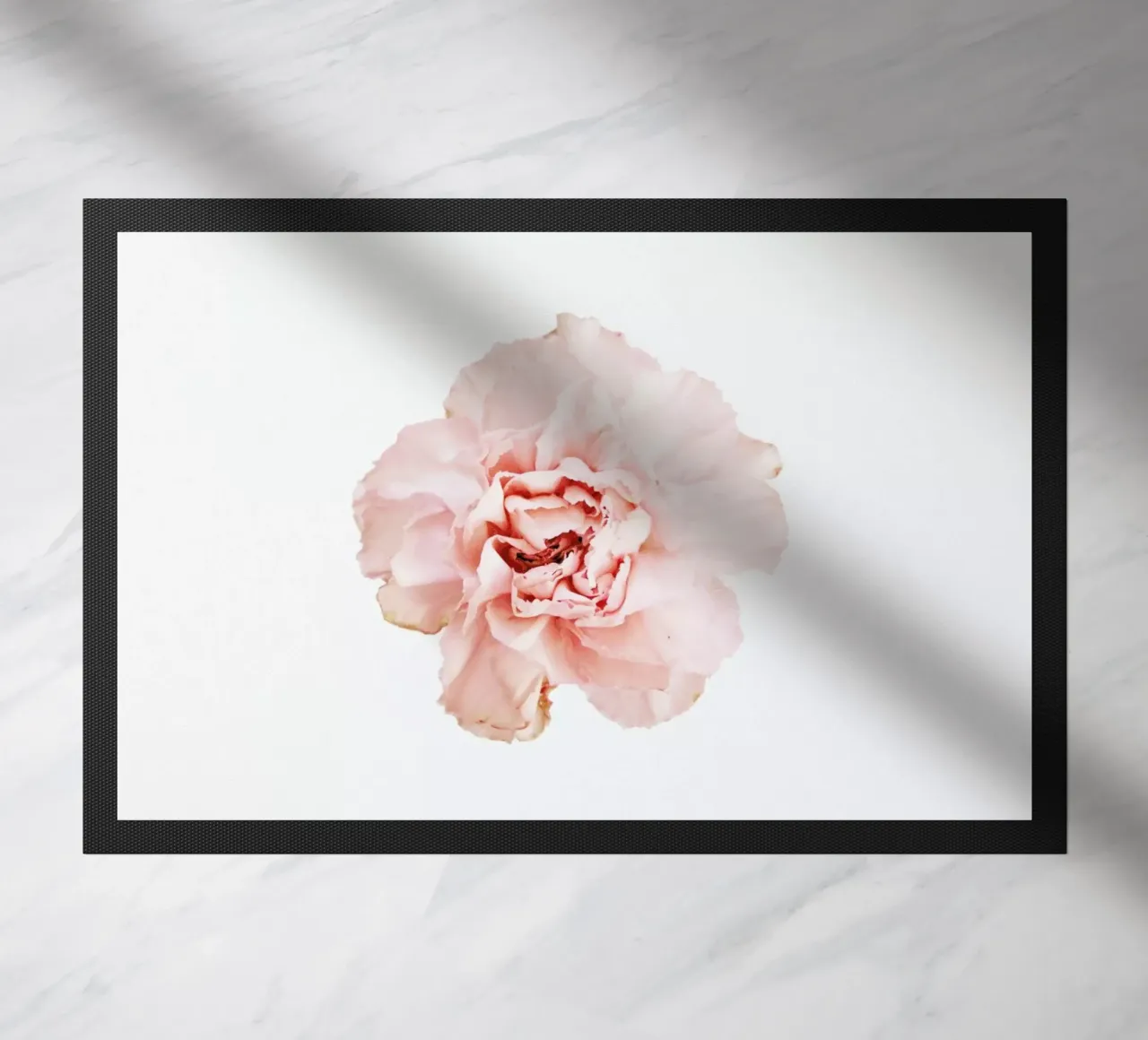 Carnation zerbino da Miles of Light