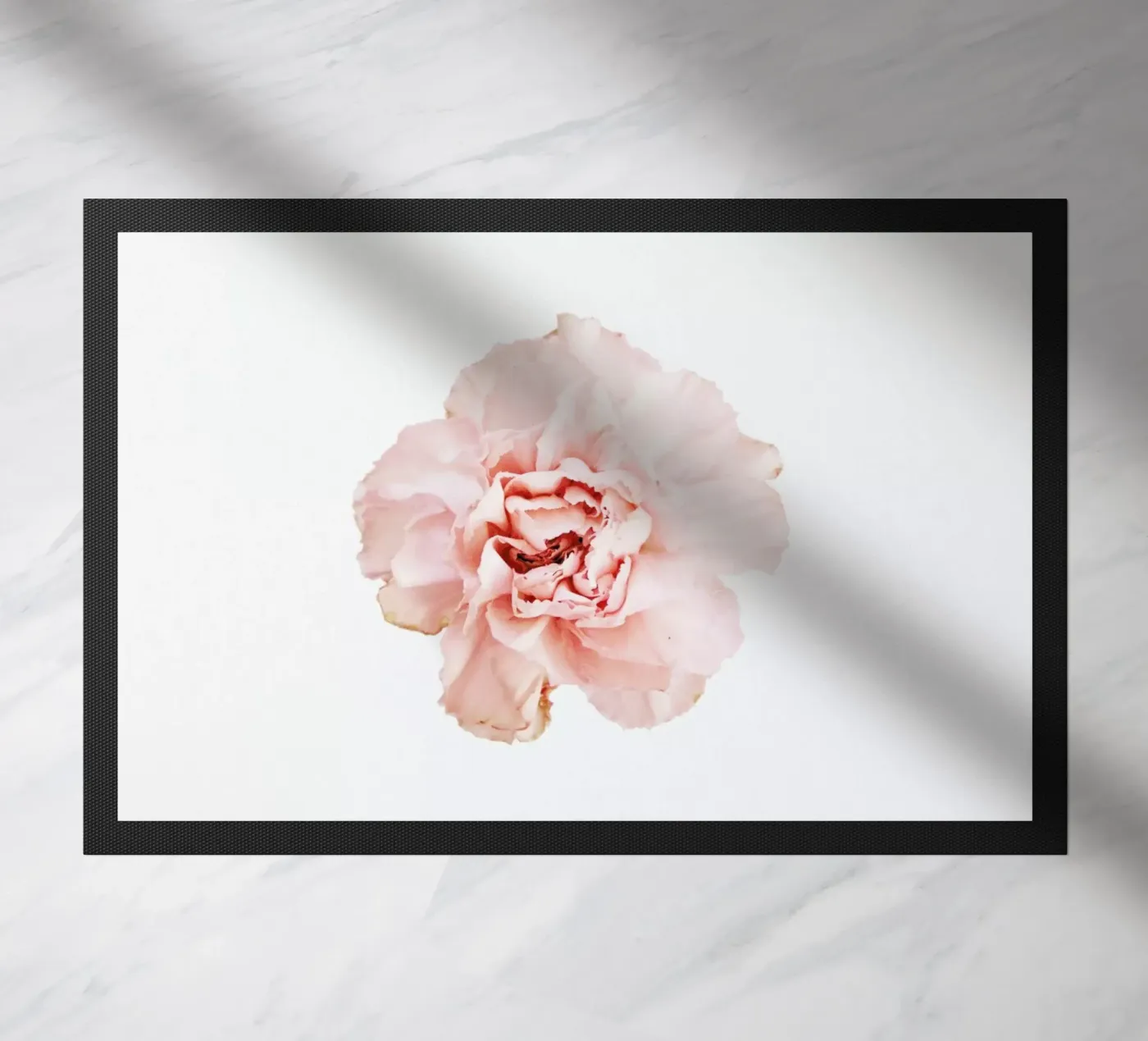 Carnation zerbino da Miles of Light