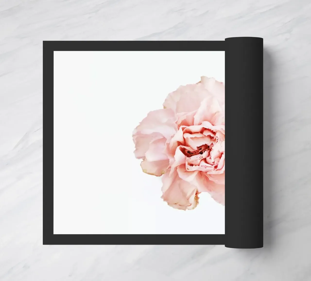 Carnation zerbino da Miles of Light