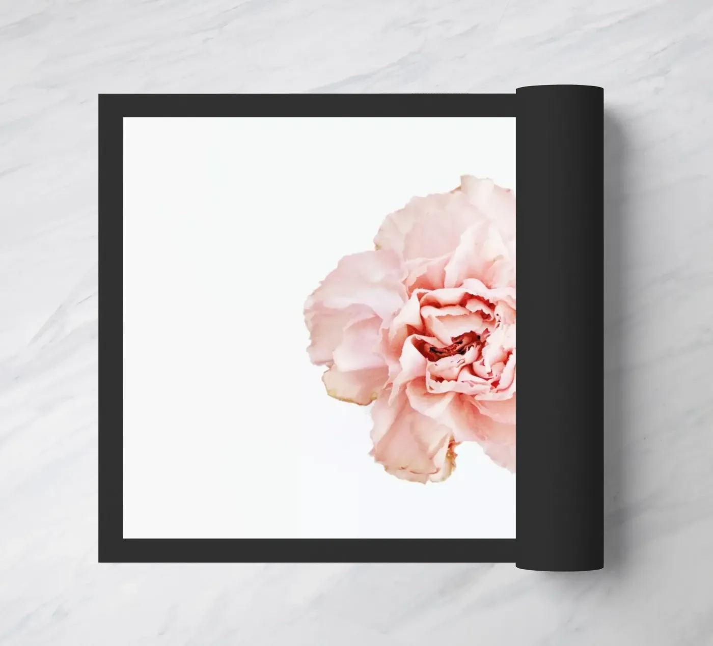 Carnation zerbino da Miles of Light