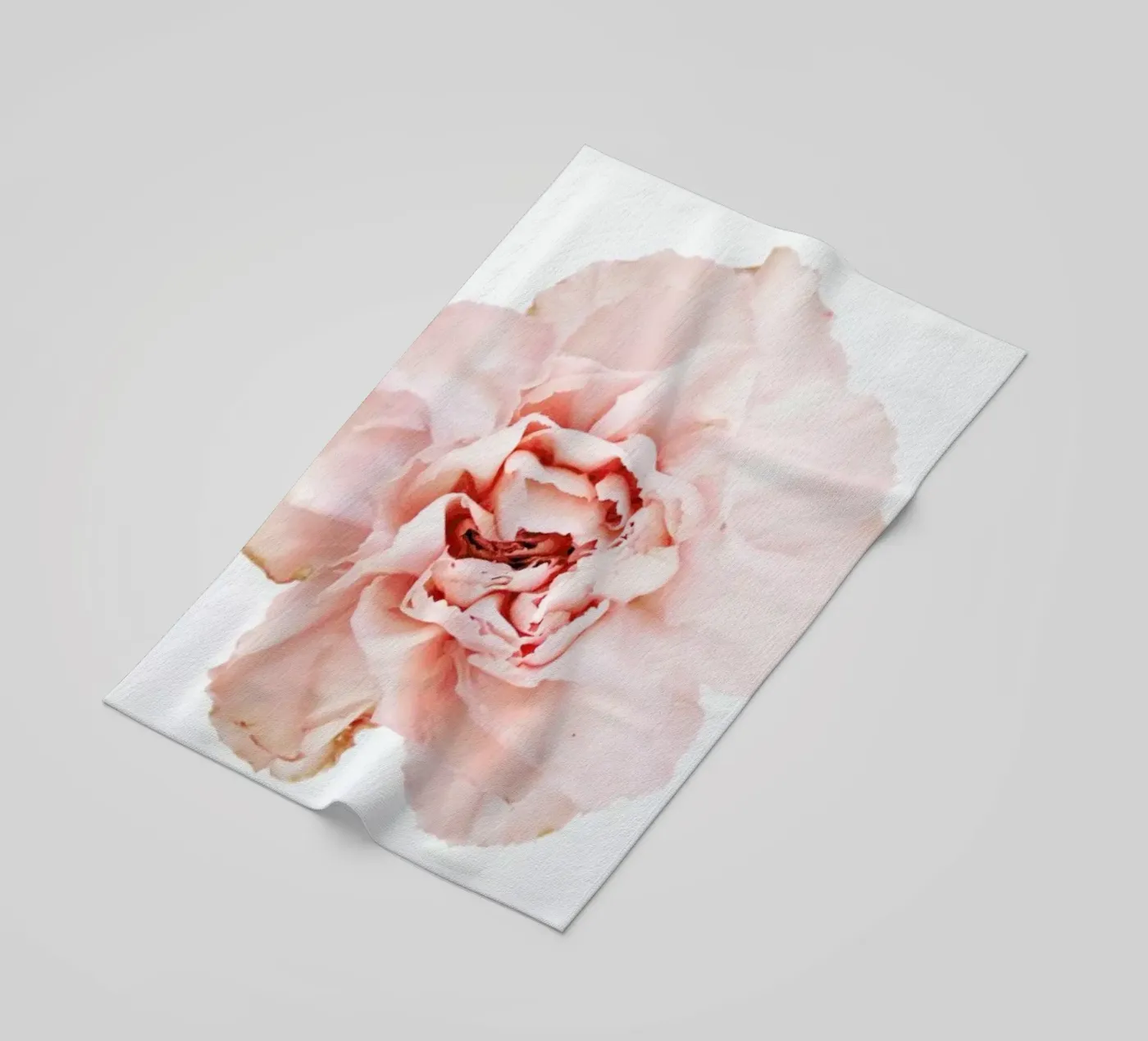 Carnation beach towel by Miles of Light