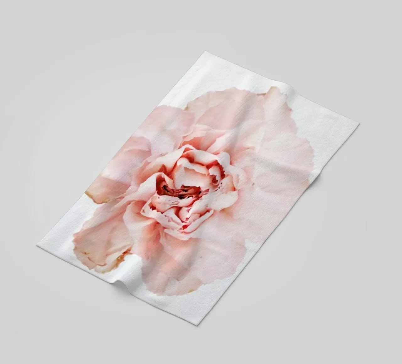 Carnation telo mare da Miles of Light