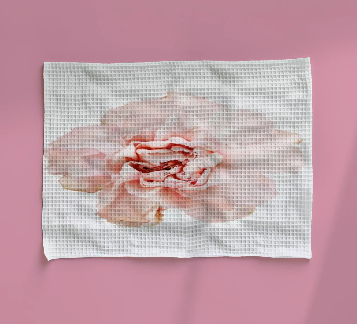 Carnation Geschirrtuch von Miles of Light