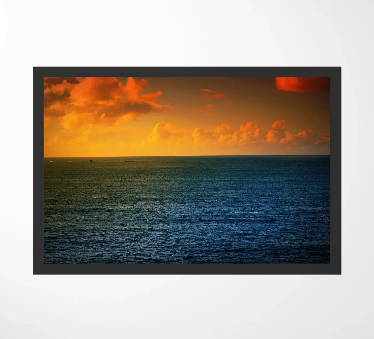 FAA166 zerbino da Thierry vobmann photography