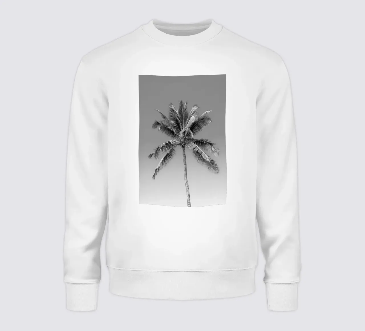 Palma in bianco e nero felpa da Léa Lefebvre Photography