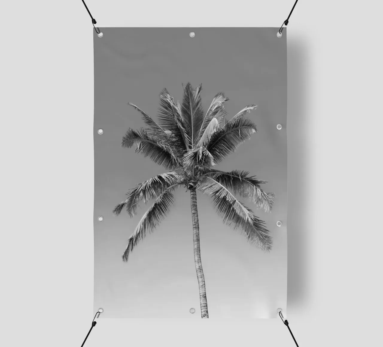 Palma in bianco e nero telo in pvc da Léa Lefebvre Photography