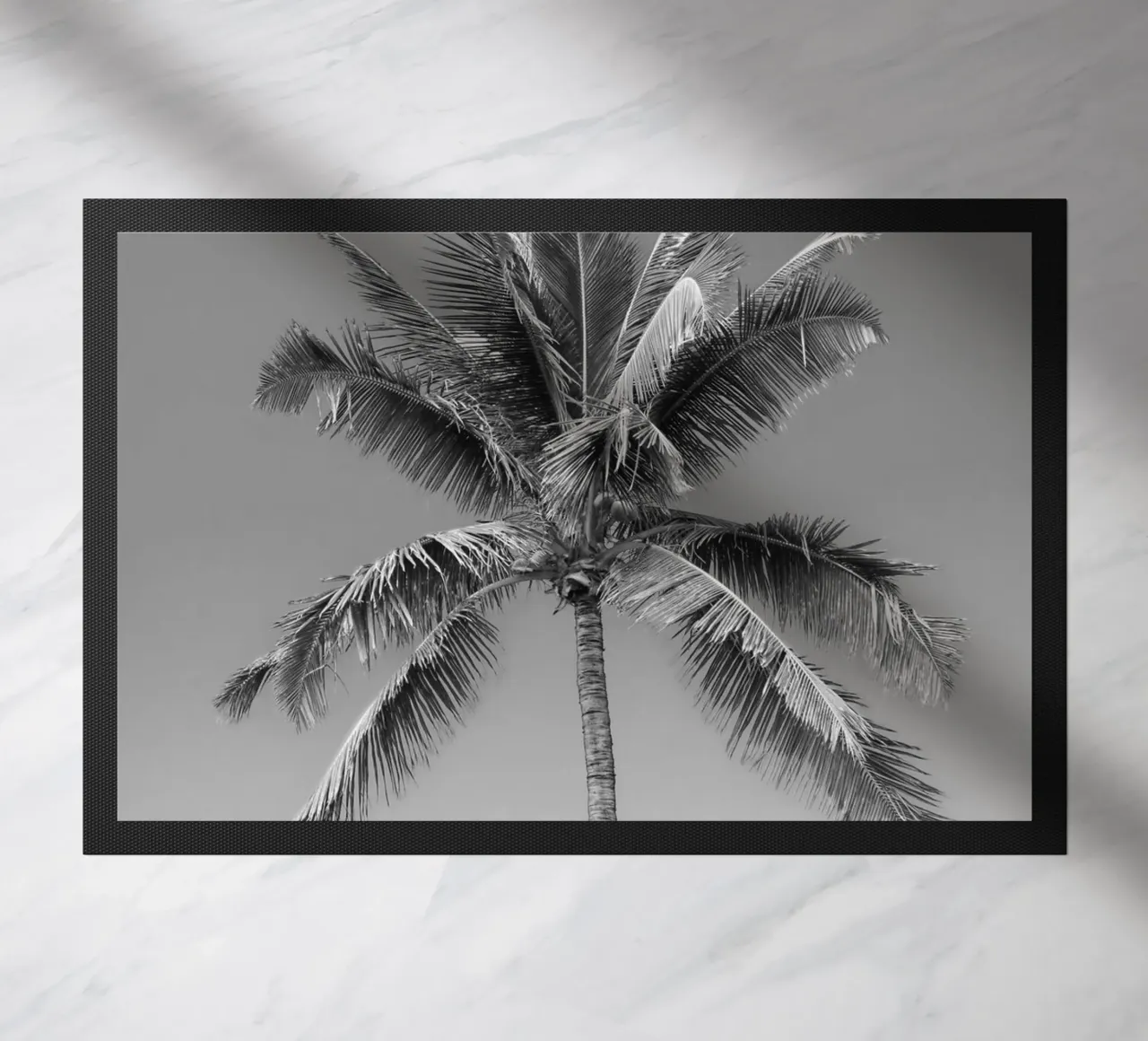 Palmera en blanco y negro felpudo de Léa Lefebvre Photography