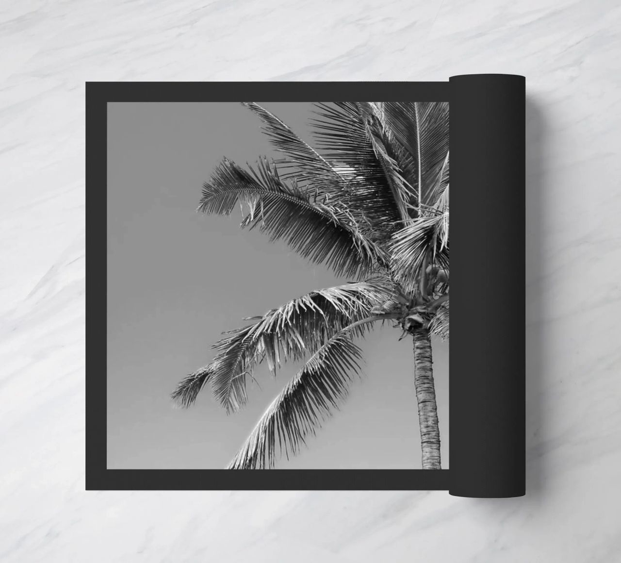 Palma in bianco e nero zerbino da Léa Lefebvre Photography