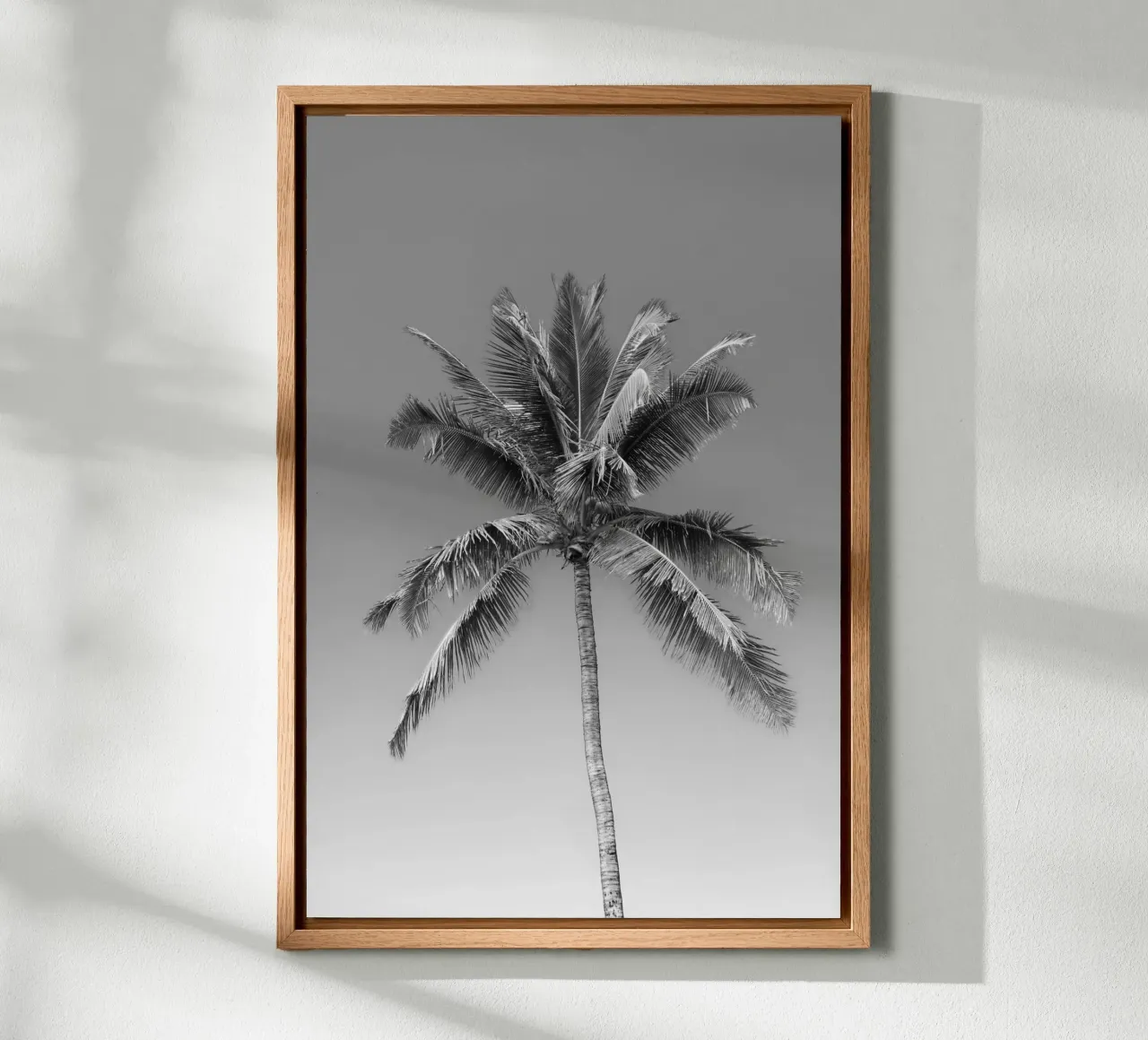 Palma in bianco e nero alluminio dibond da Léa Lefebvre Photography