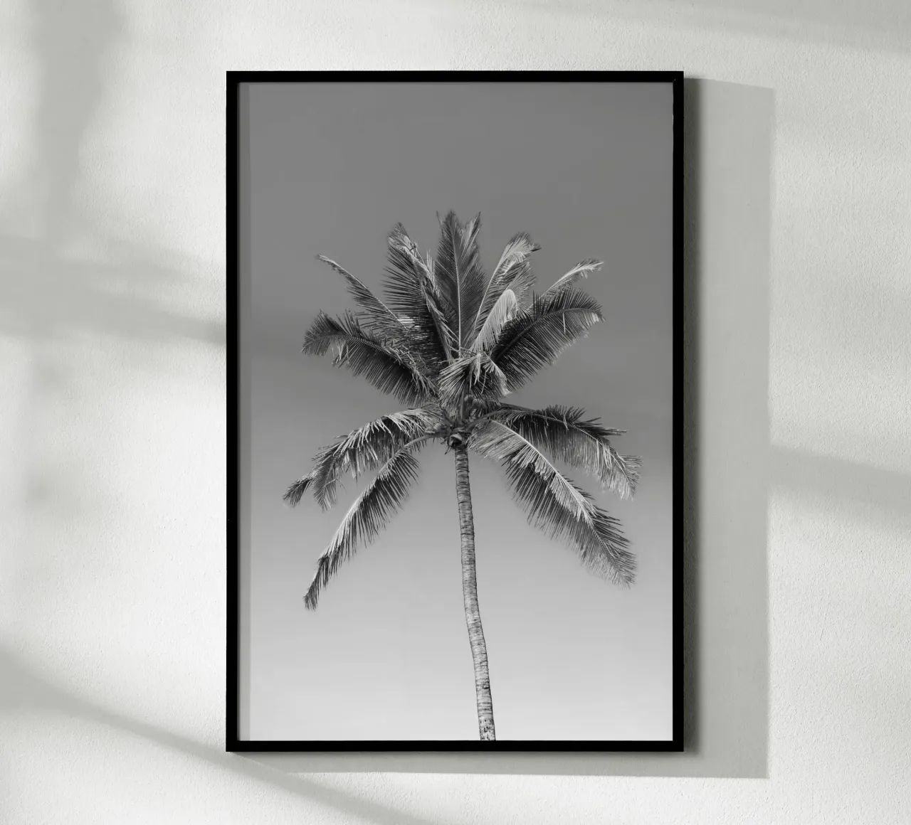 Palma in bianco e nero carta hahnemühle da Léa Lefebvre Photography