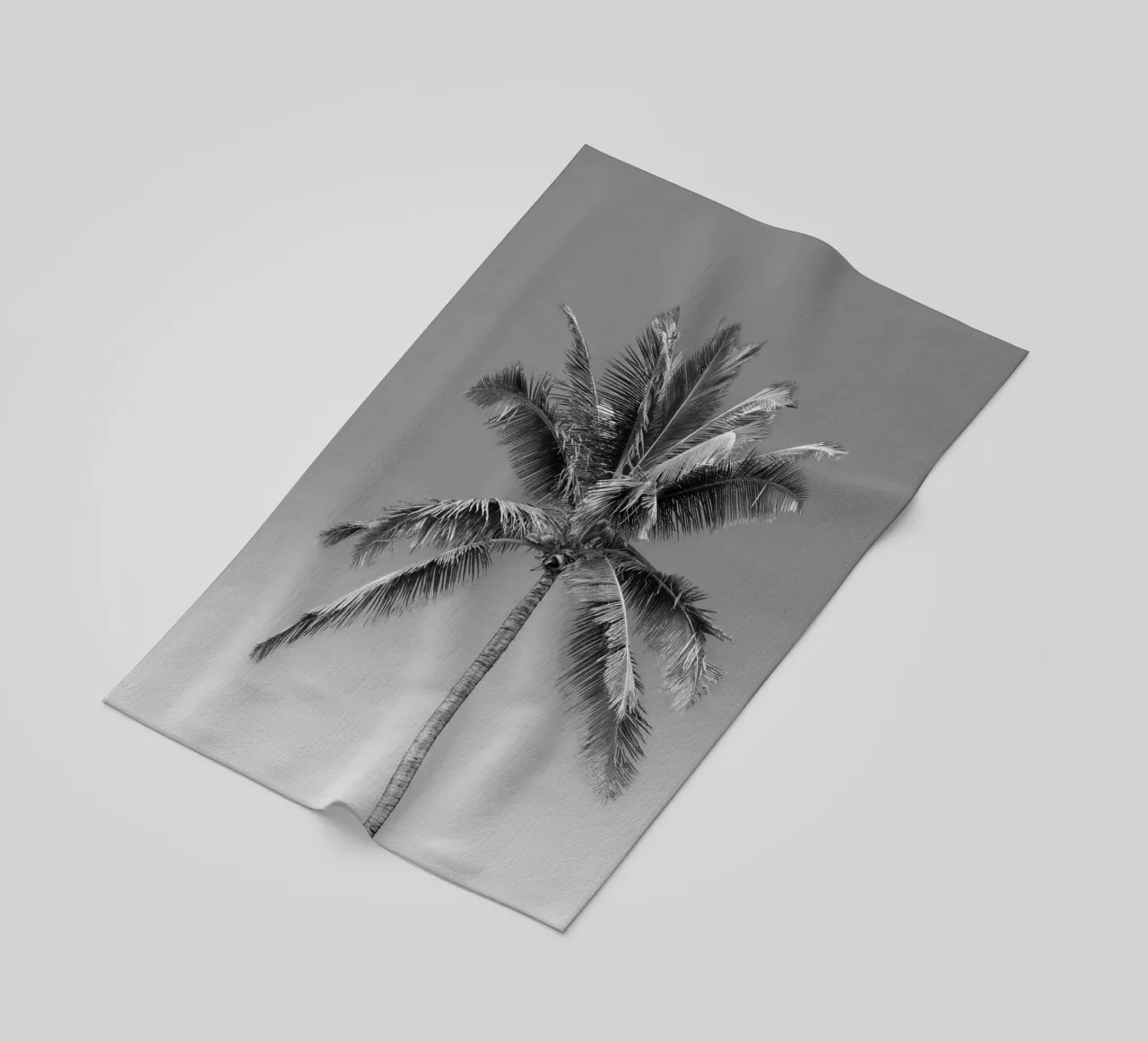 Palma in bianco e nero telo mare da Léa Lefebvre Photography