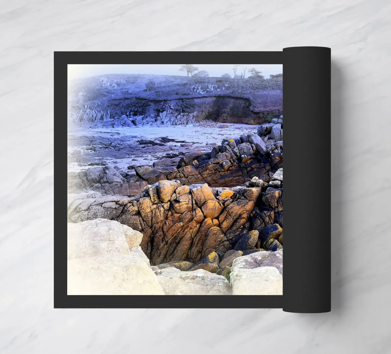 FAA167 zerbino da Thierry vobmann photography