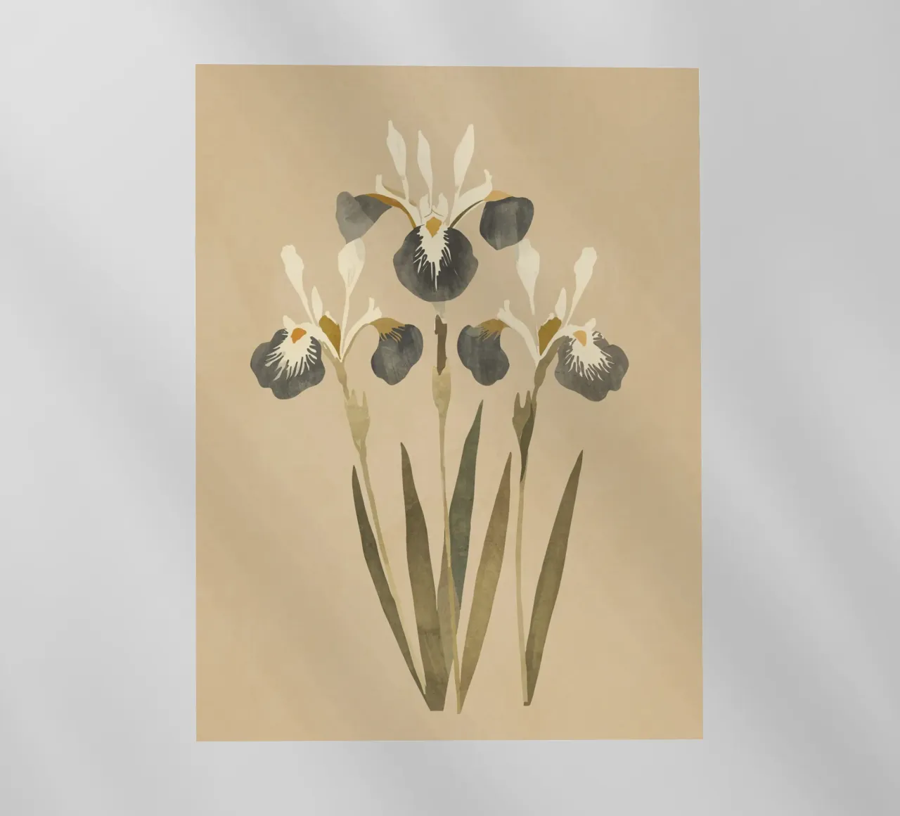 Iris 2 pellicola backlit da ThingDesign