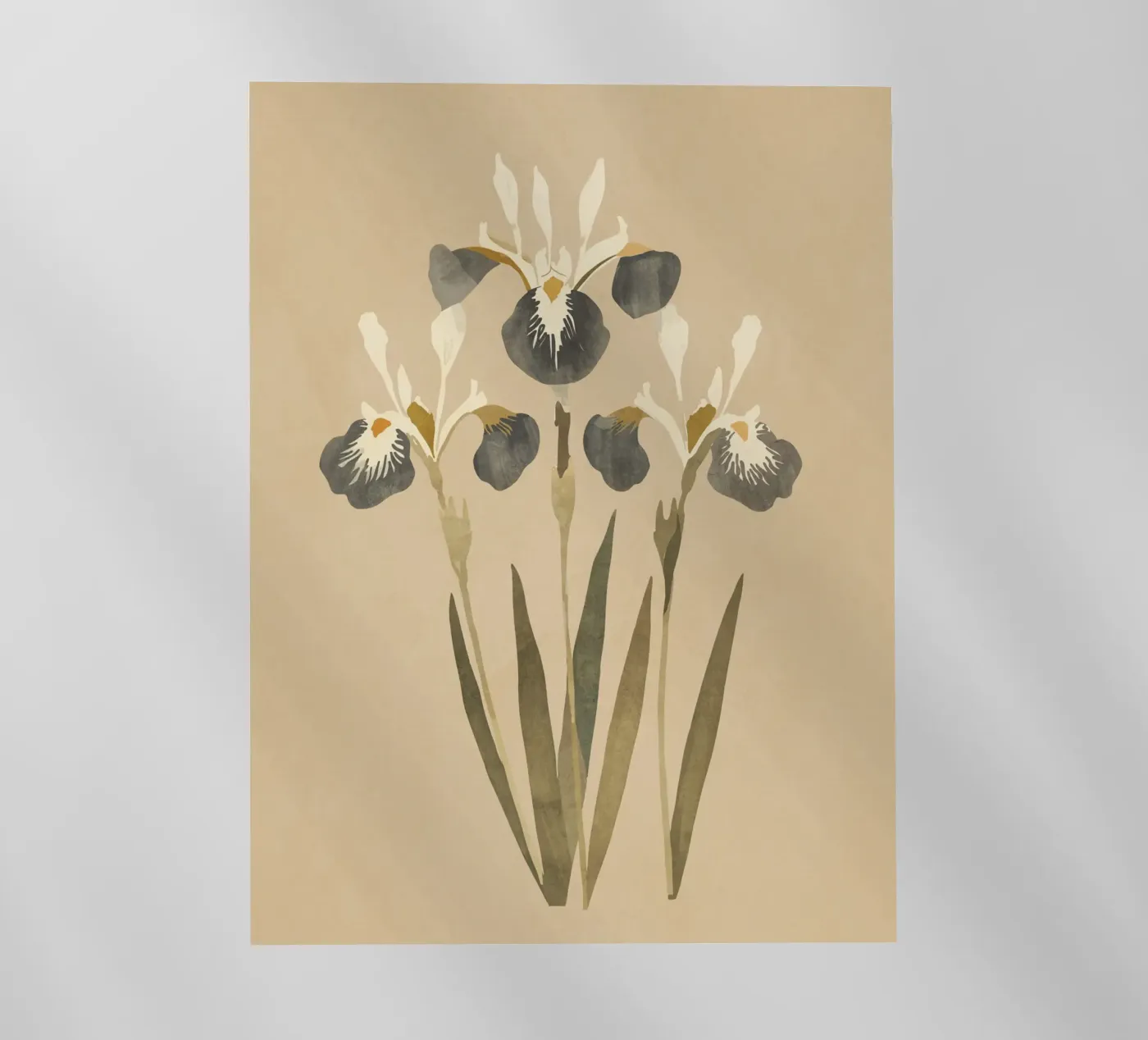 Irises 2 backlit film by ThingDesign