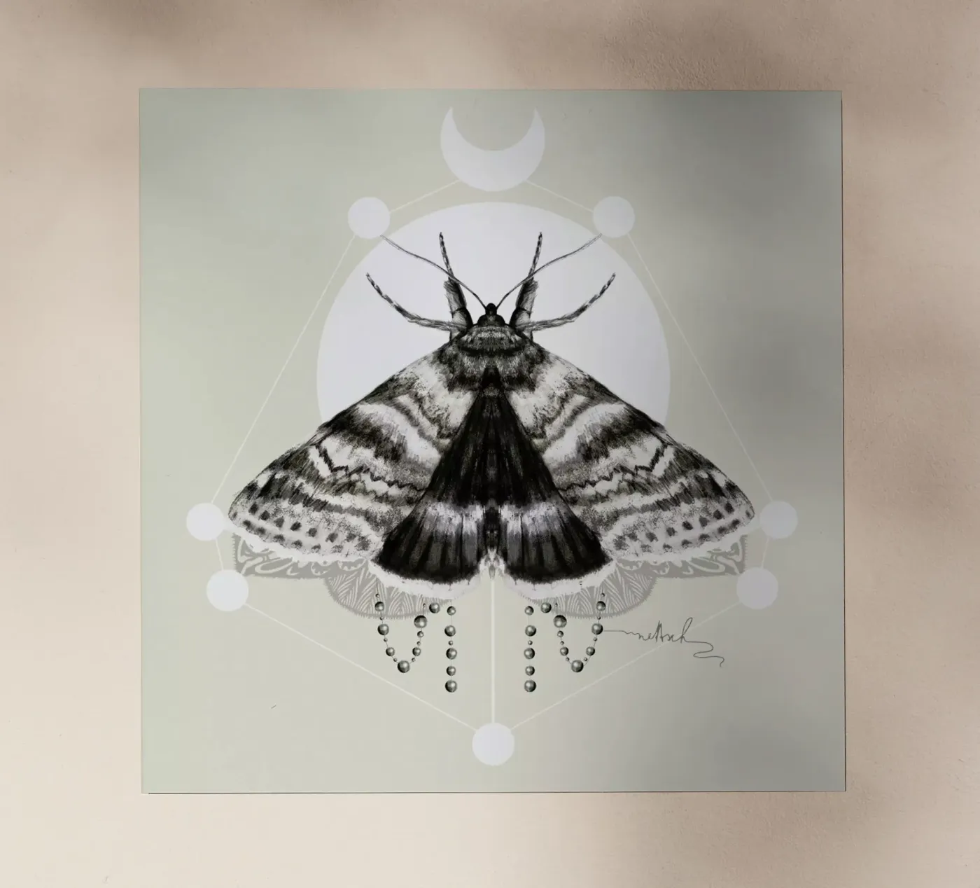 Moth backlit film by Nettsch