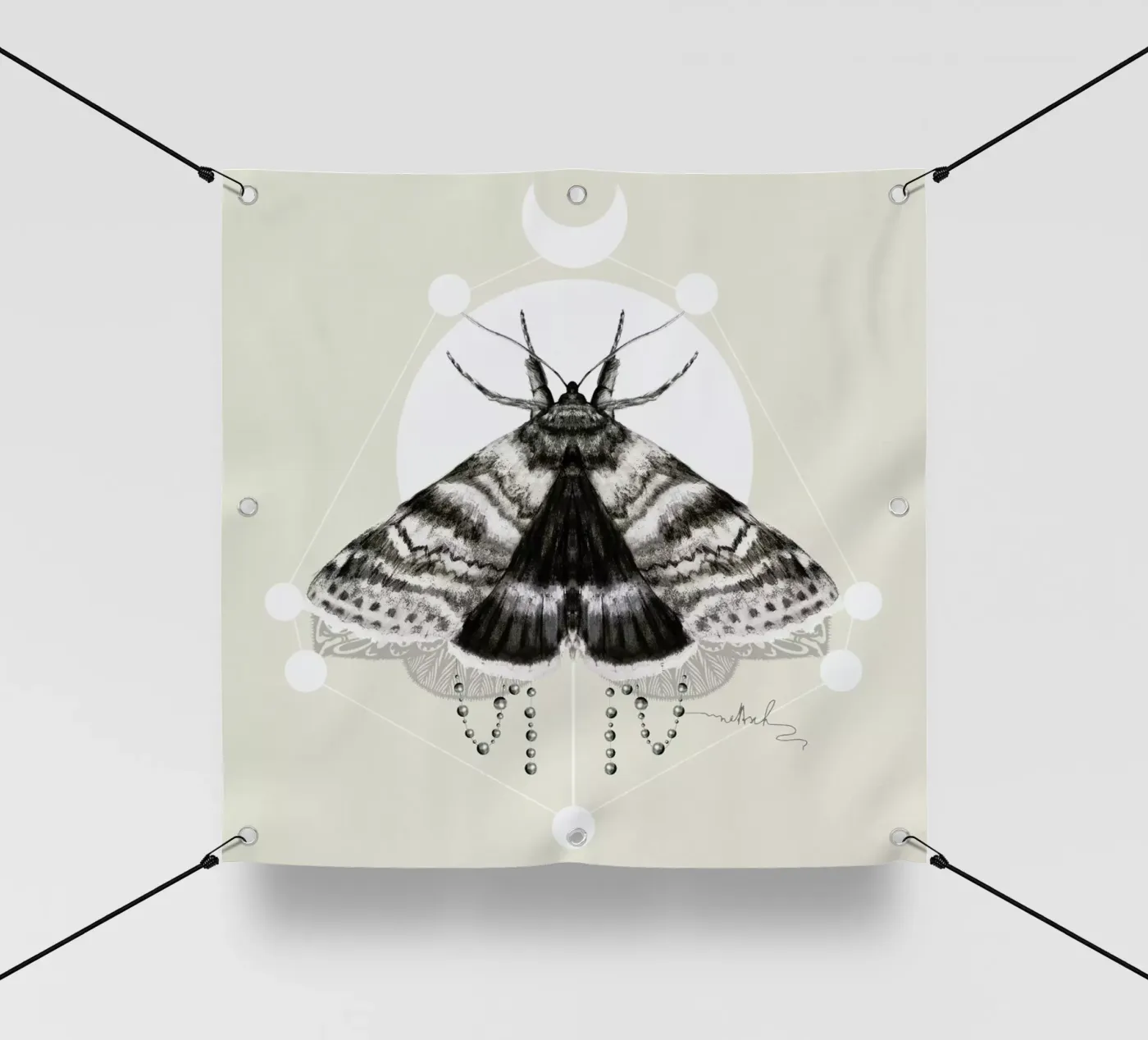 Moth telo in pvc da Nettsch