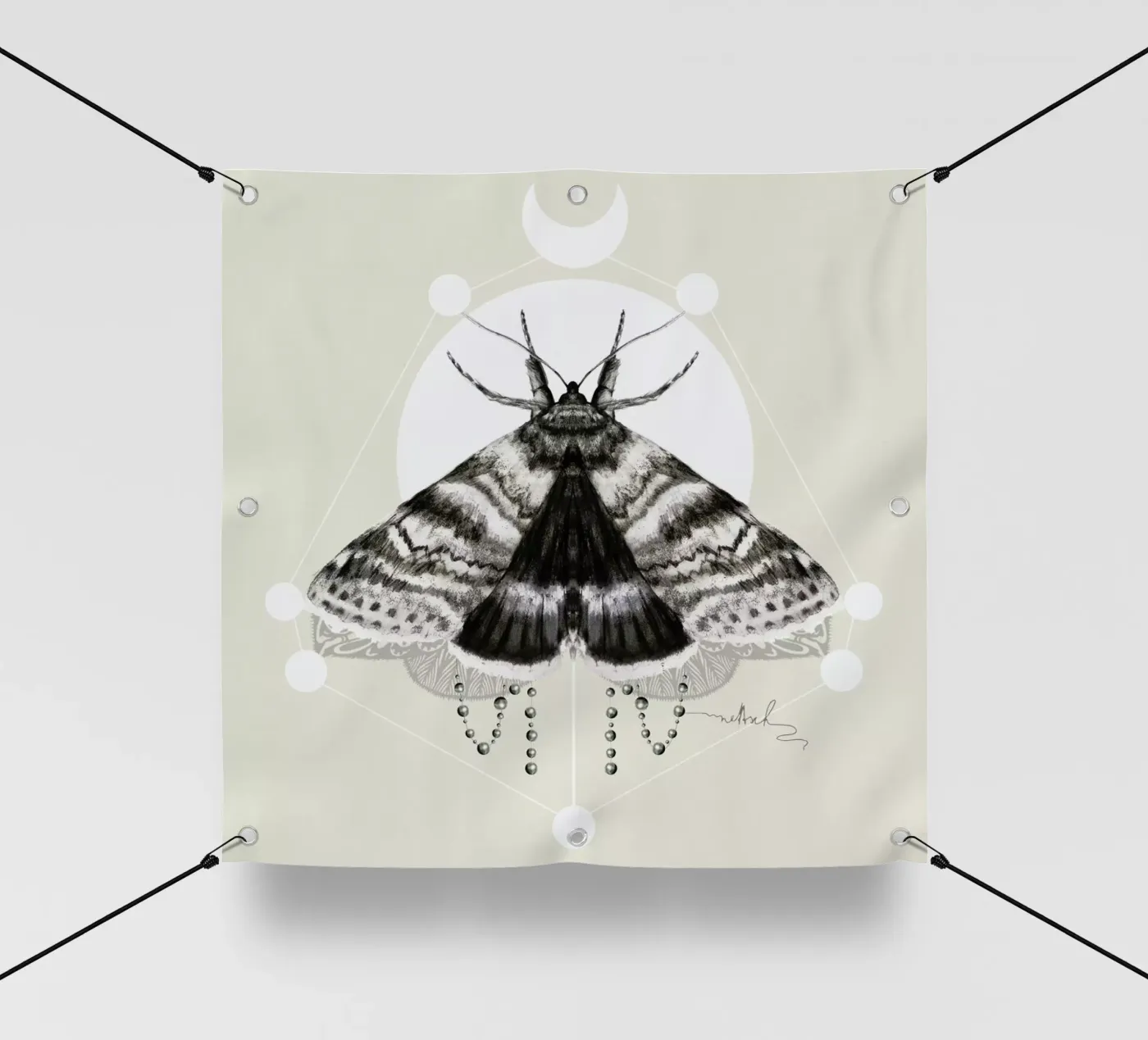 Moth telo in pvc da Nettsch