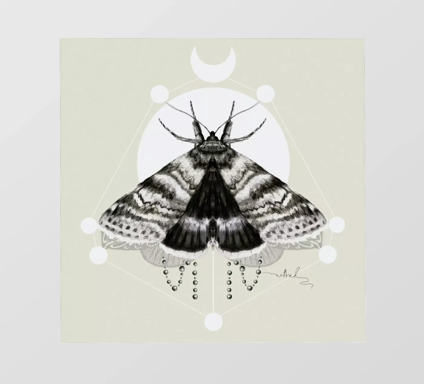 Moth telo in pvc da Nettsch