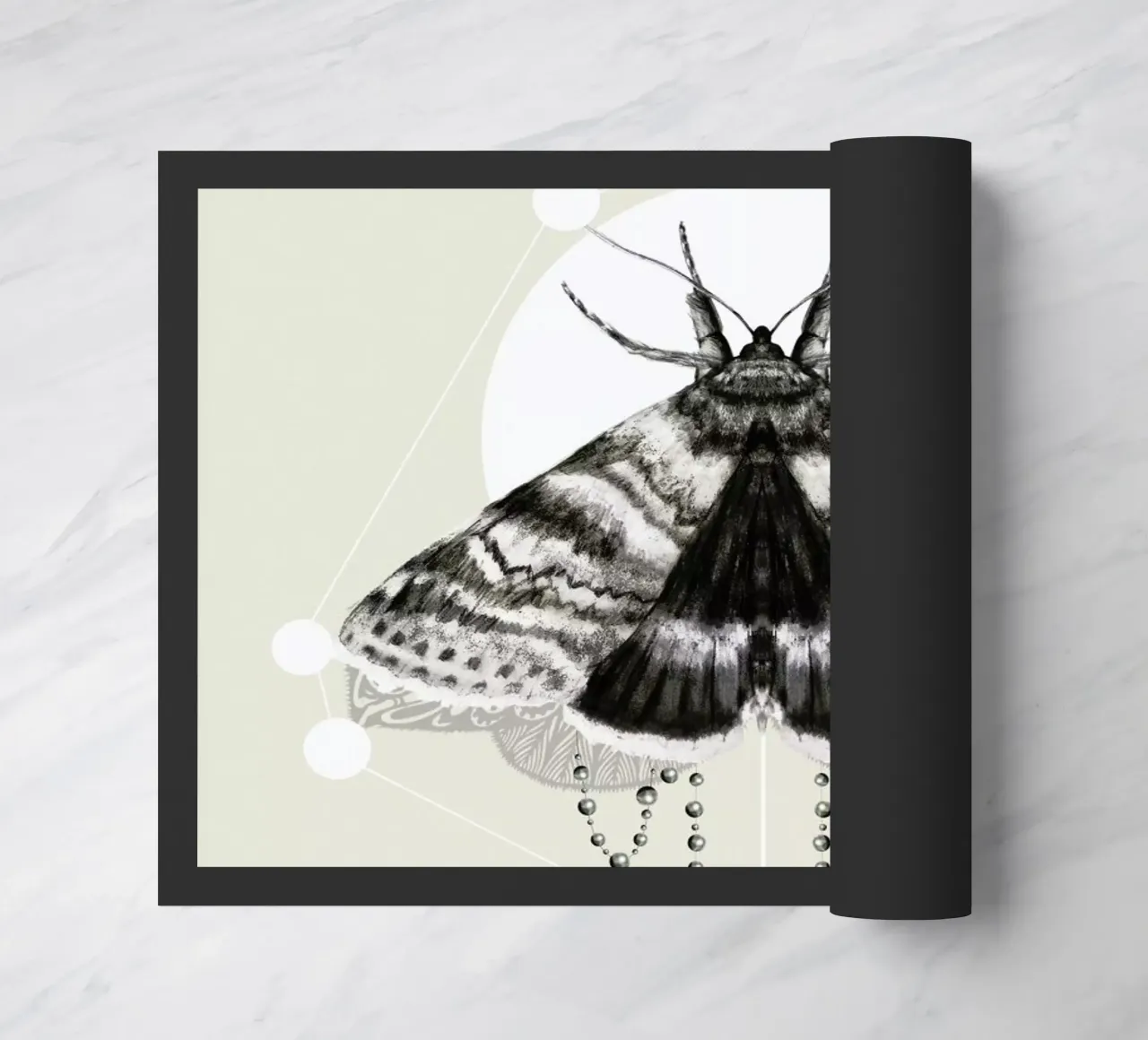 Moth zerbino da Nettsch