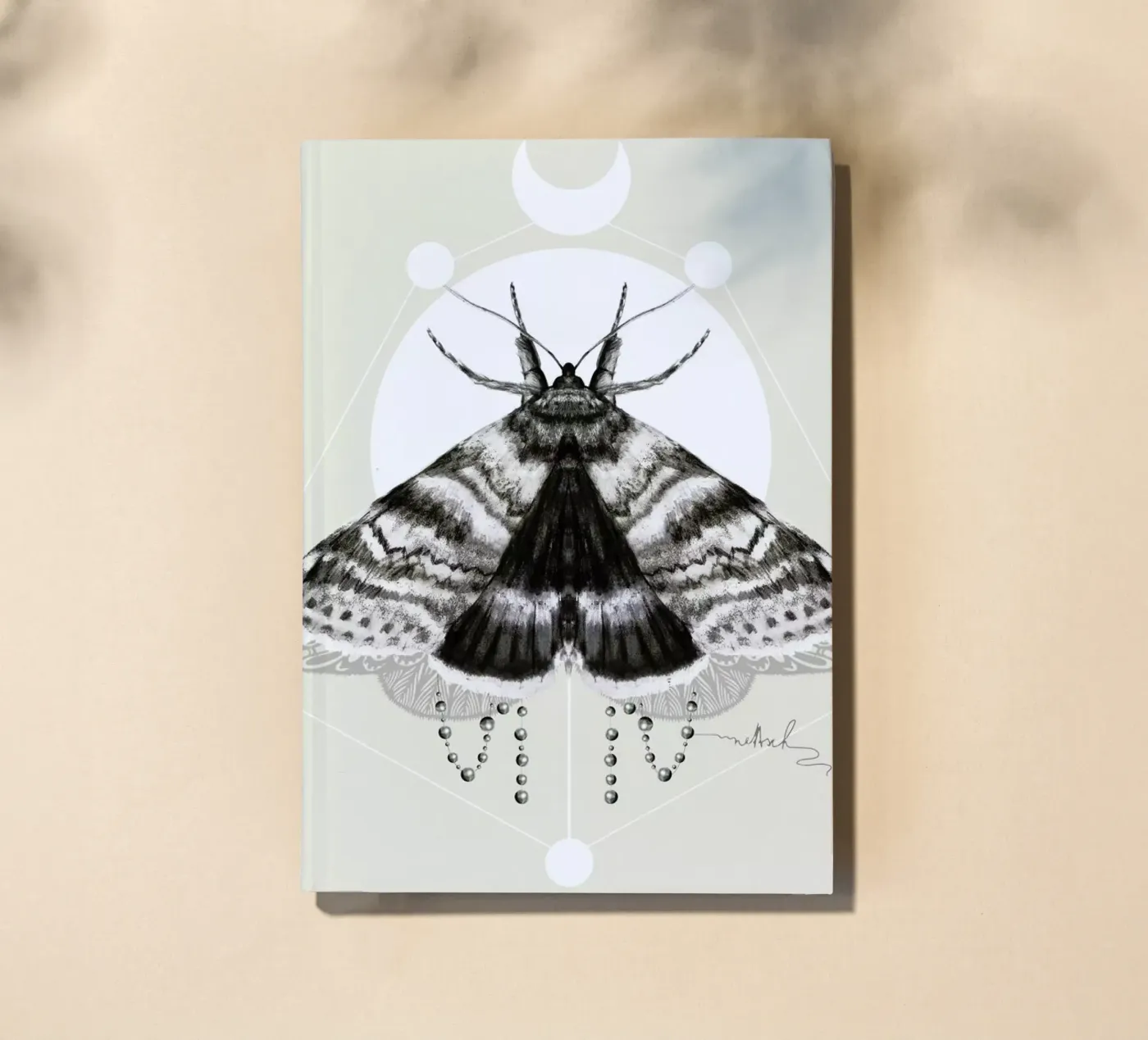 Moth carnet de Nettsch