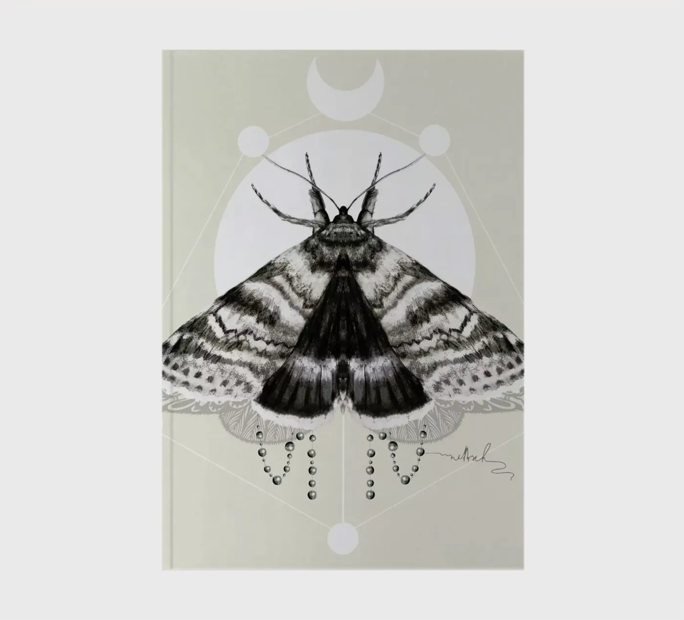 Moth carnet de Nettsch