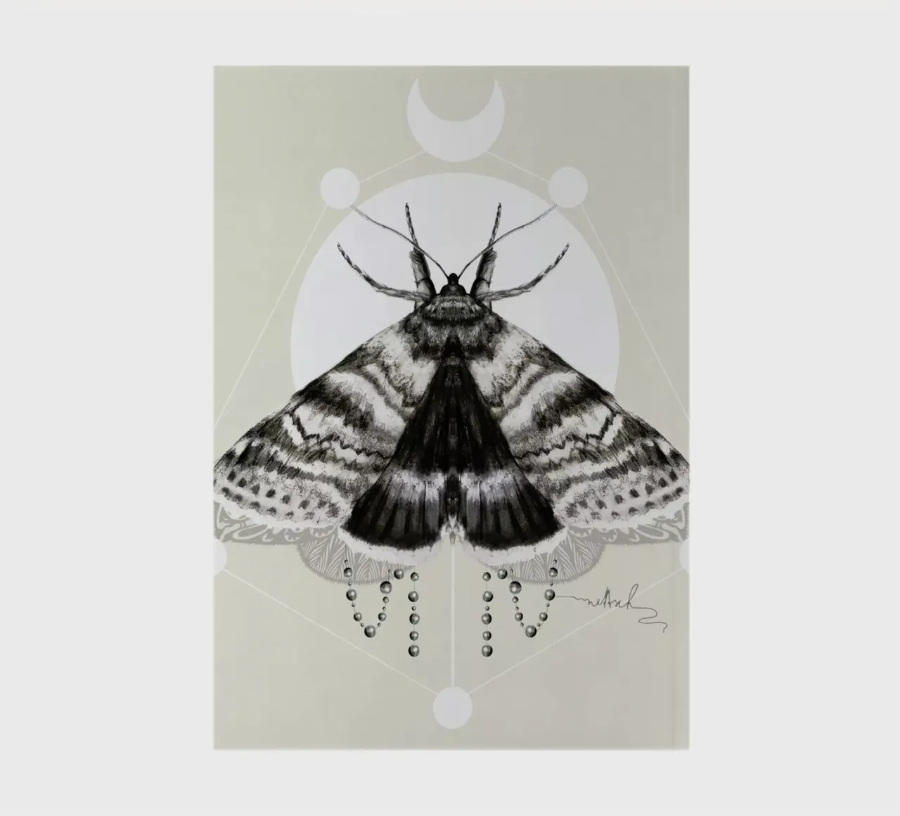 Moth notebook by Nettsch