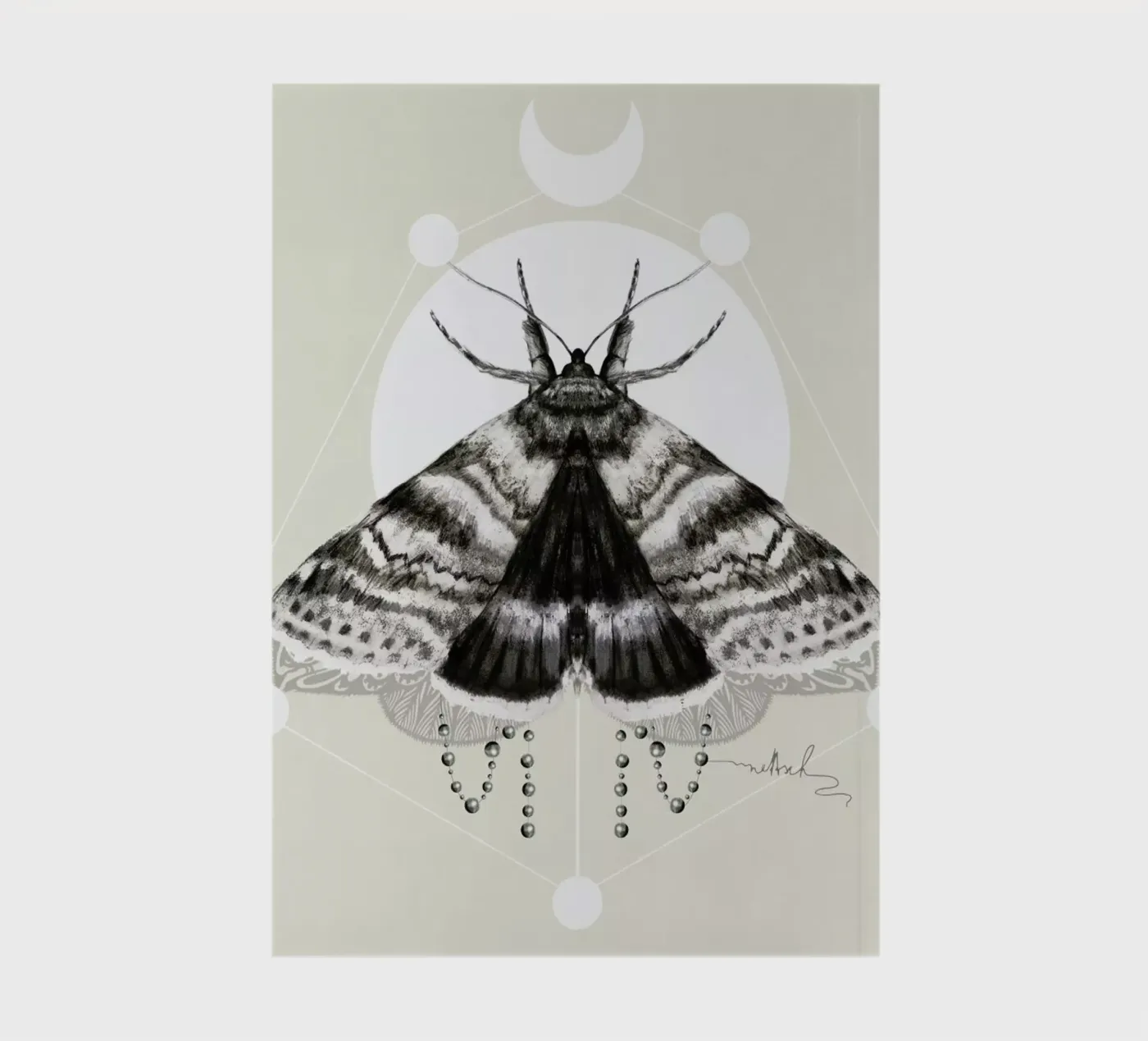 Moth carnet de Nettsch