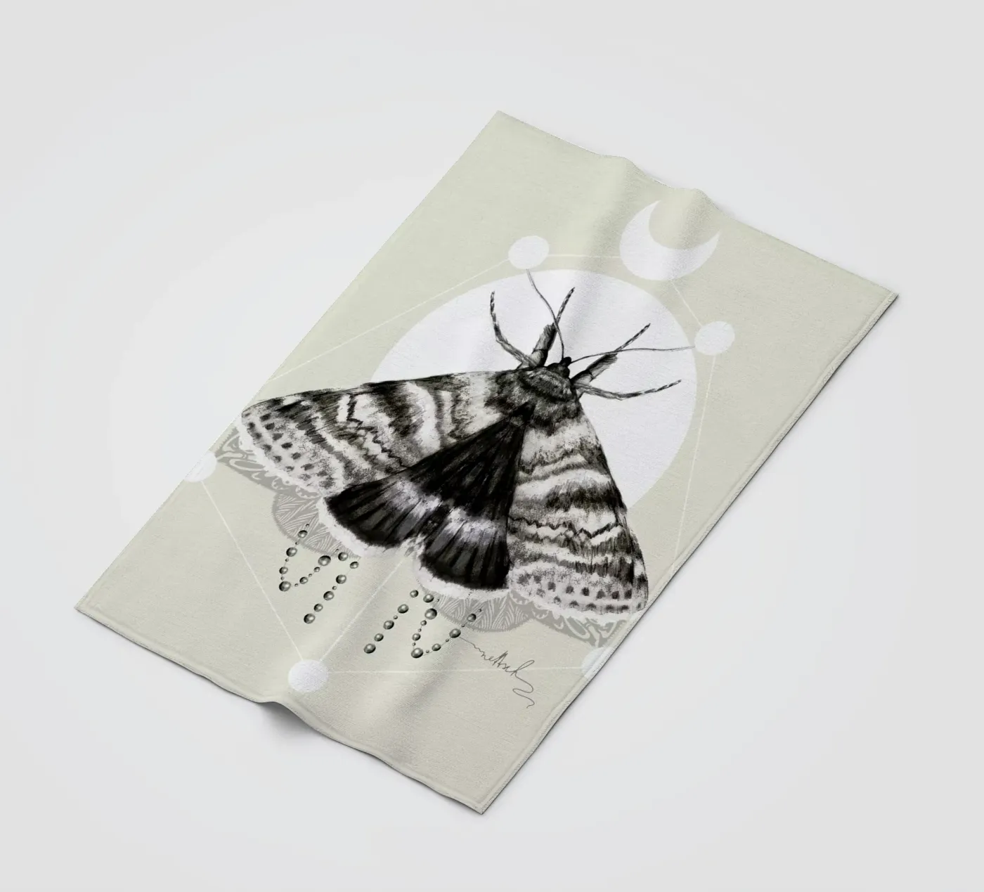 Moth coperta in pile da Nettsch