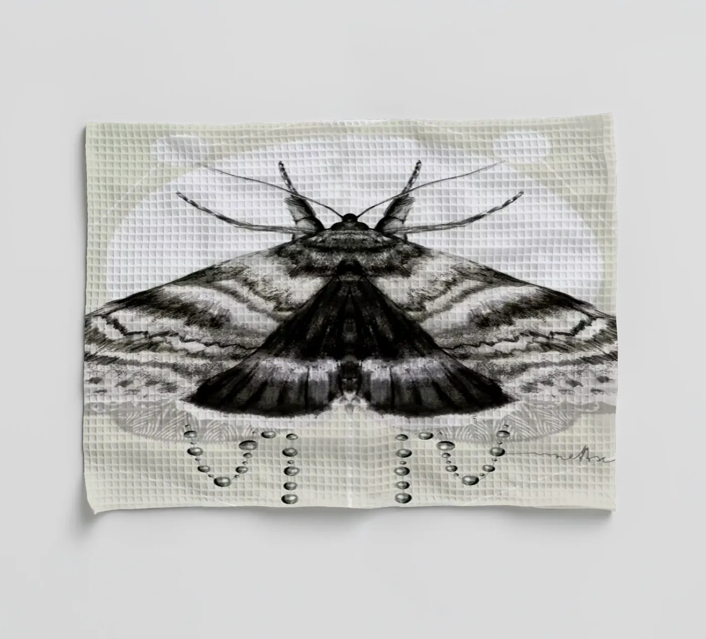 Moth canovaccio da cucina da Nettsch