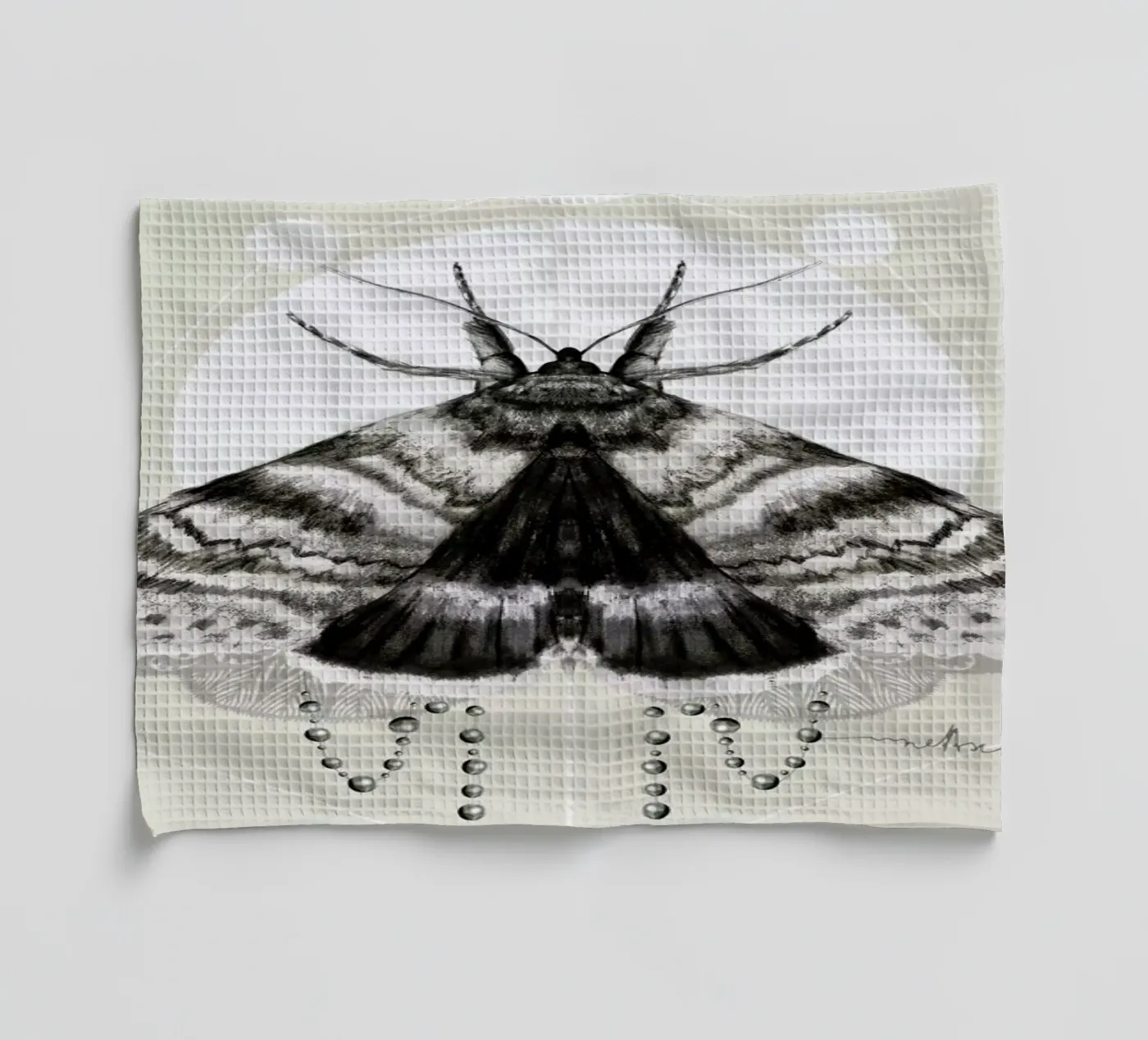 Moth torchon de Nettsch