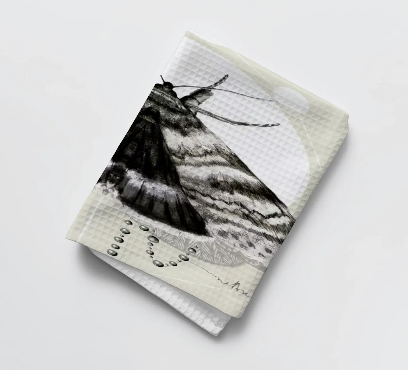 Moth torchon de Nettsch