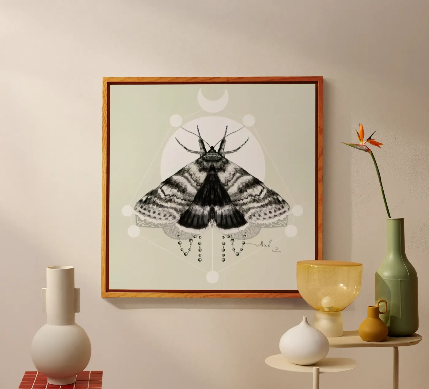 Moth plexiglas de Nettsch