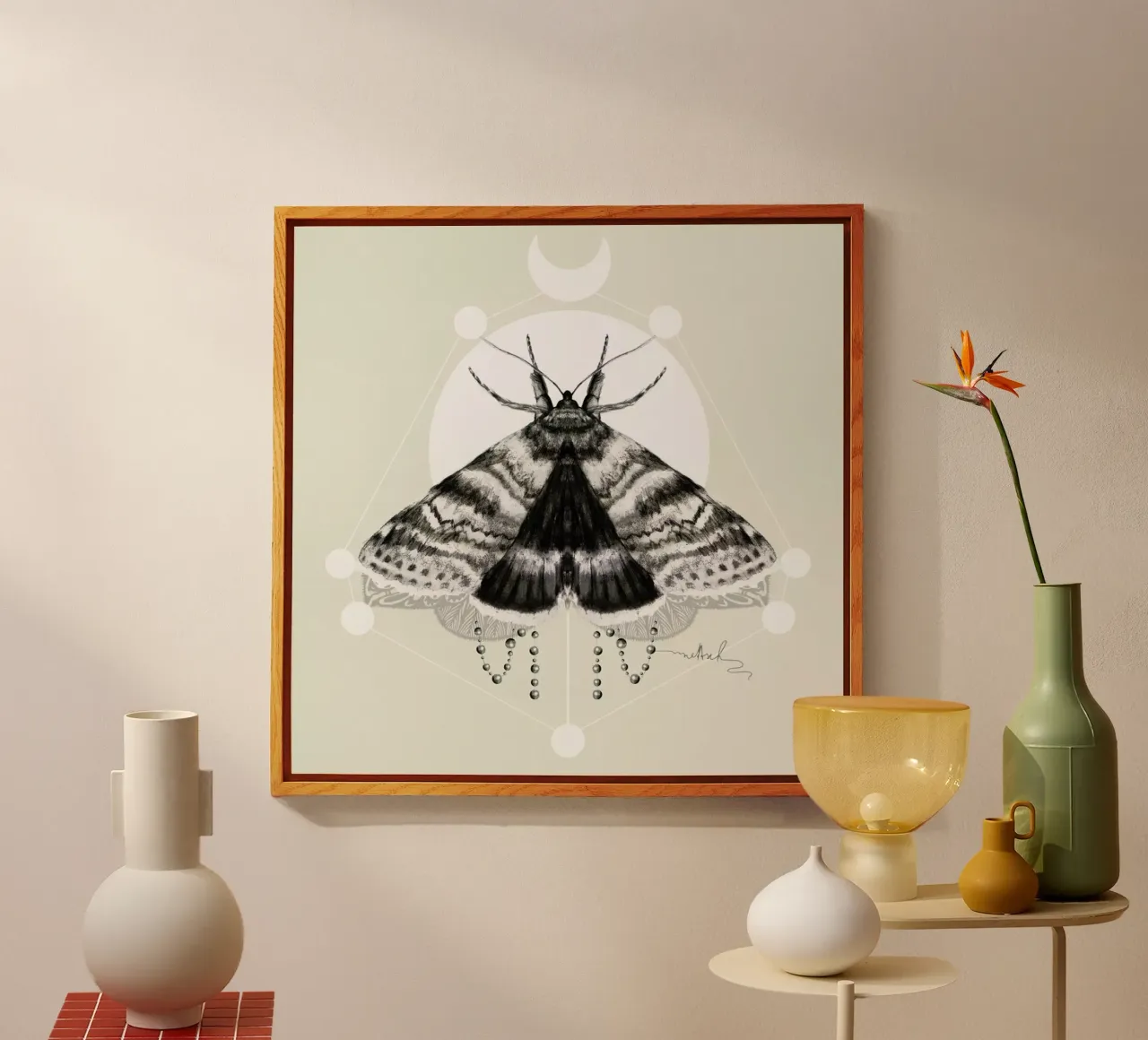 Moth plexiglass da Nettsch