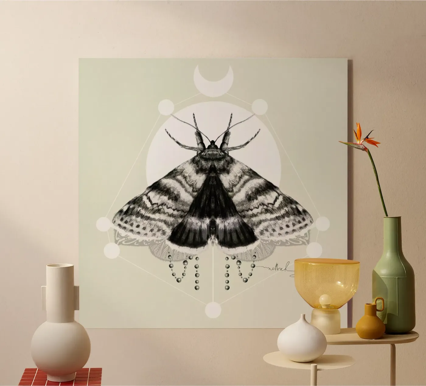 Moth plexiglass da Nettsch