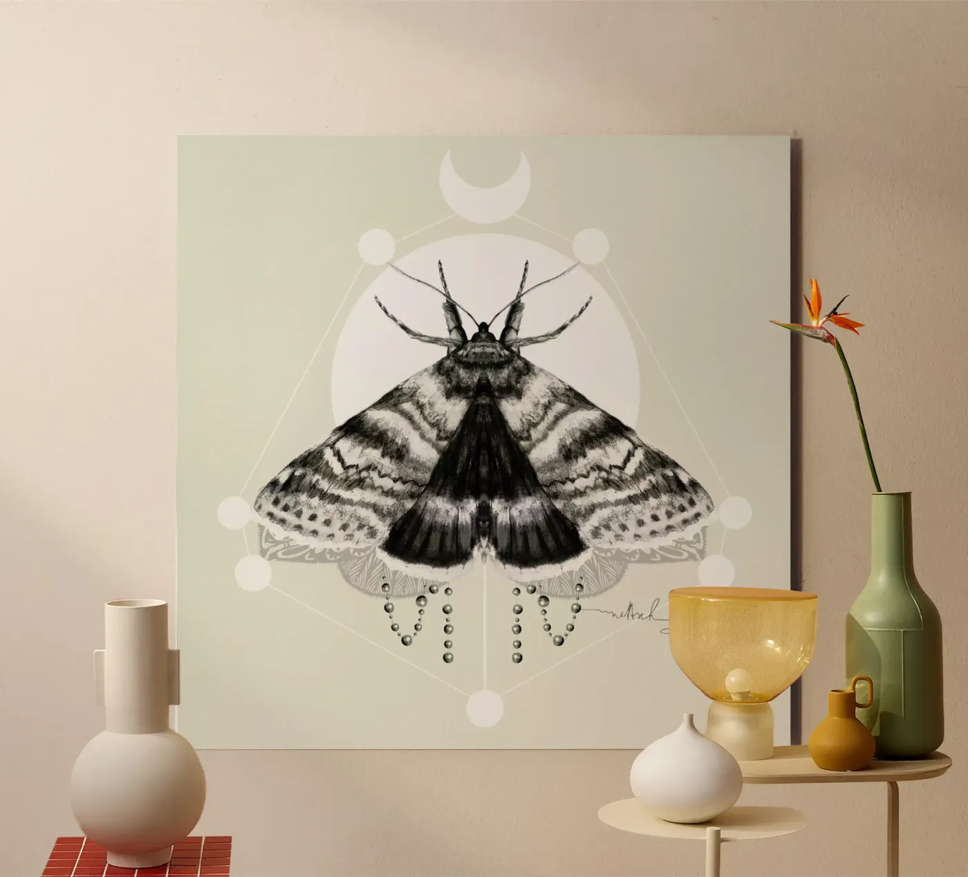 Moth forex-plaat van Nettsch