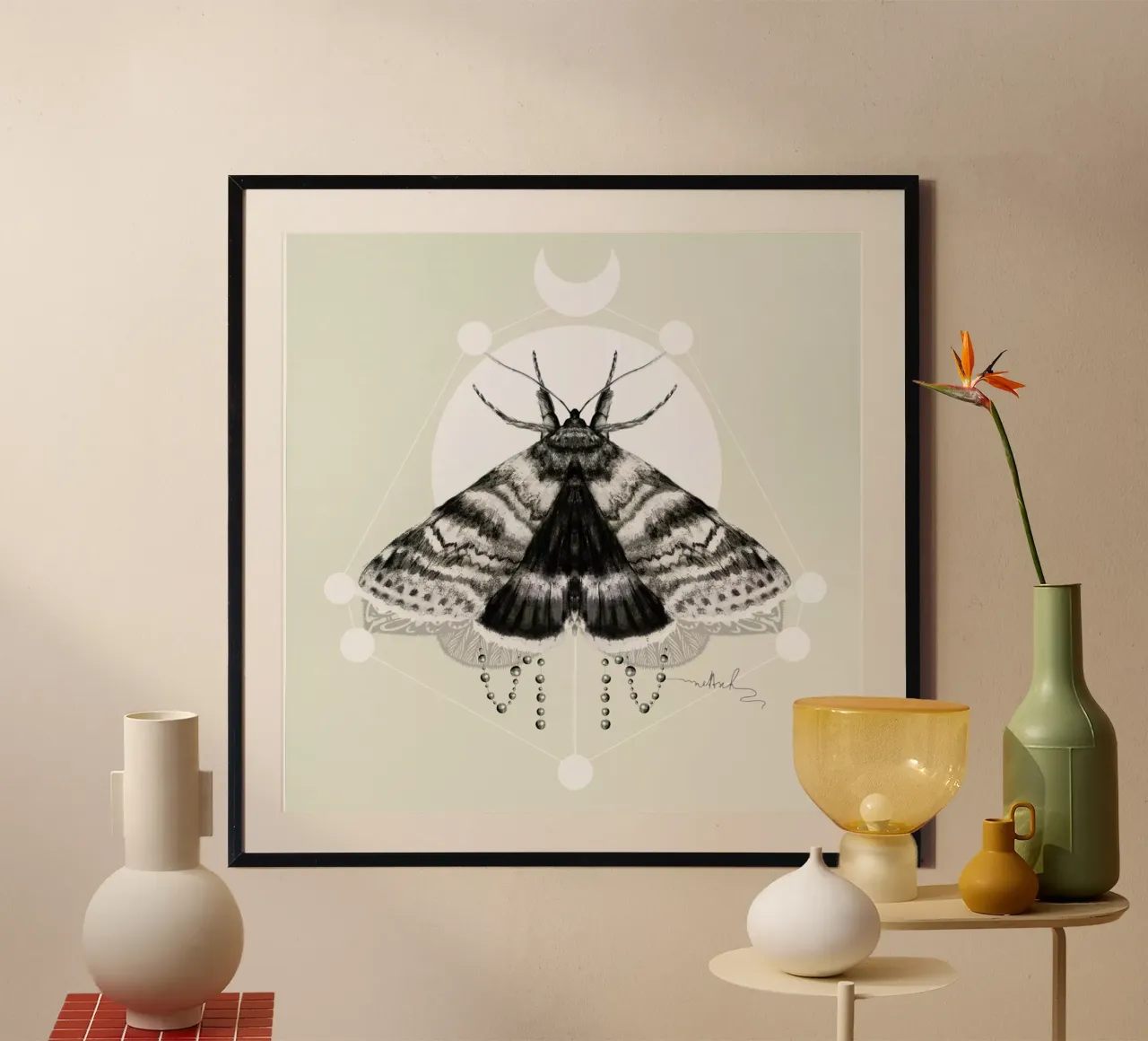 Moth carta hahnemühle da Nettsch