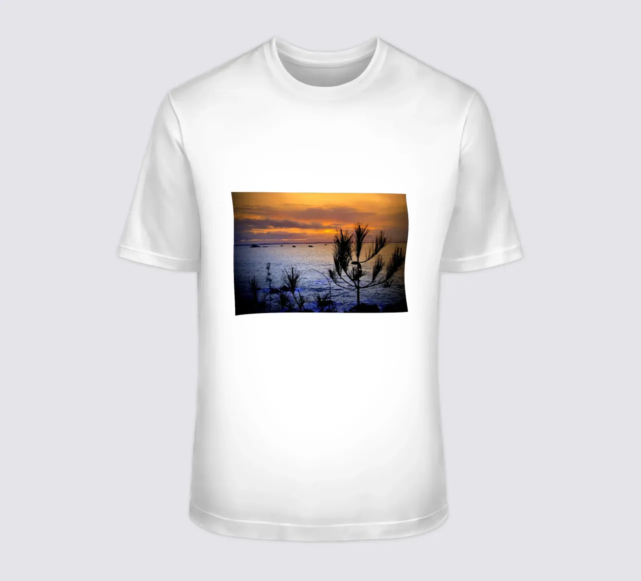 FAA168 t-shirt da Thierry vobmann photography