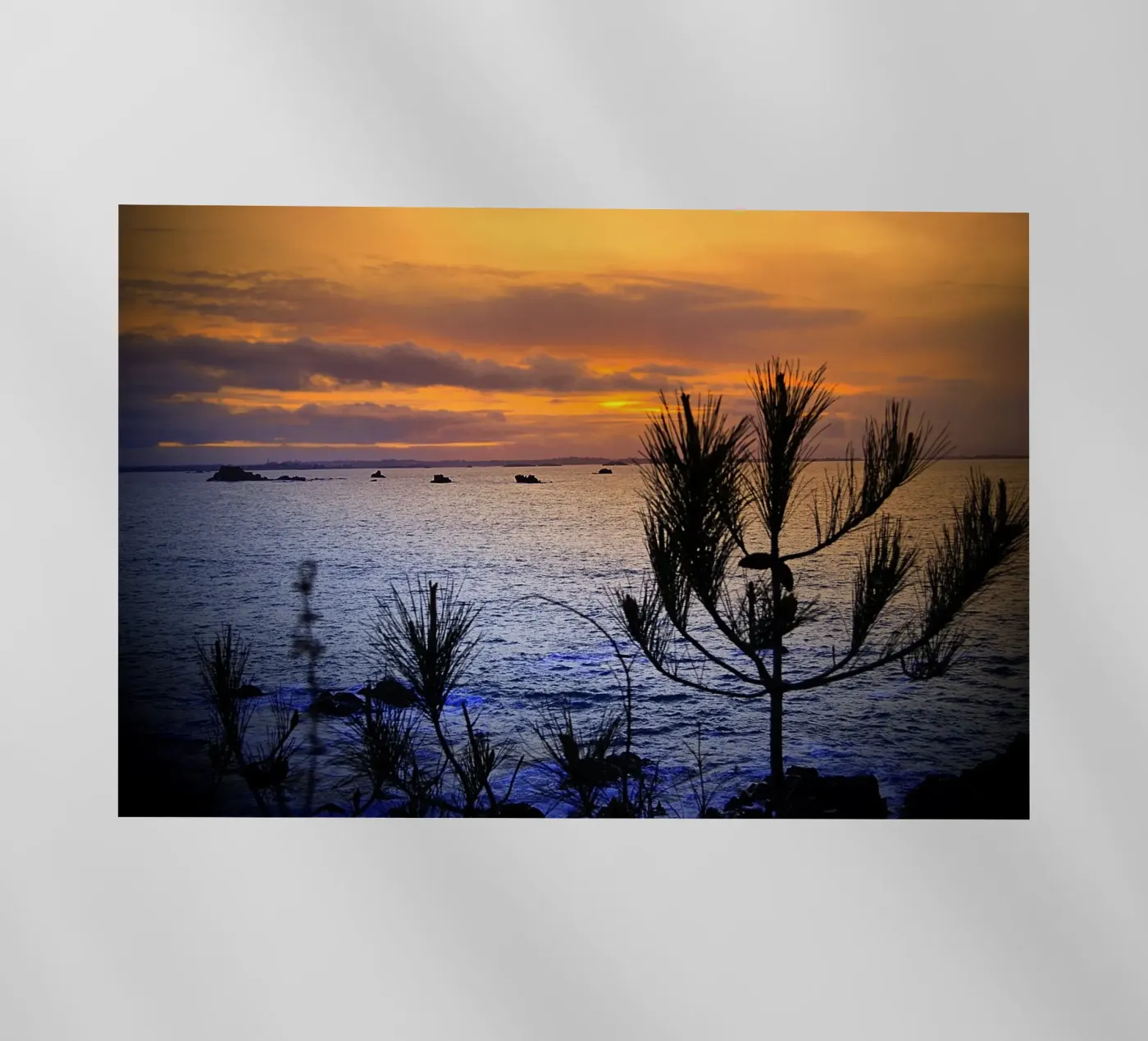 FAA168 pellicola backlit da Thierry vobmann photography