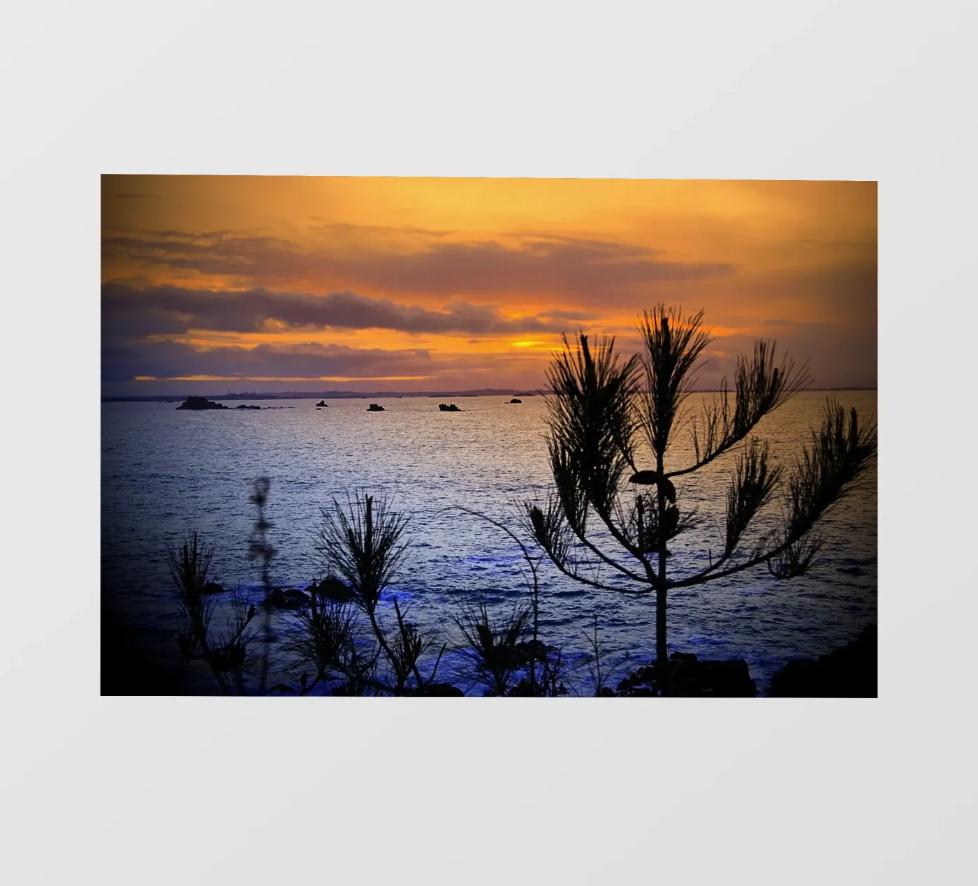 FAA168 fotobehang van Thierry vobmann photography