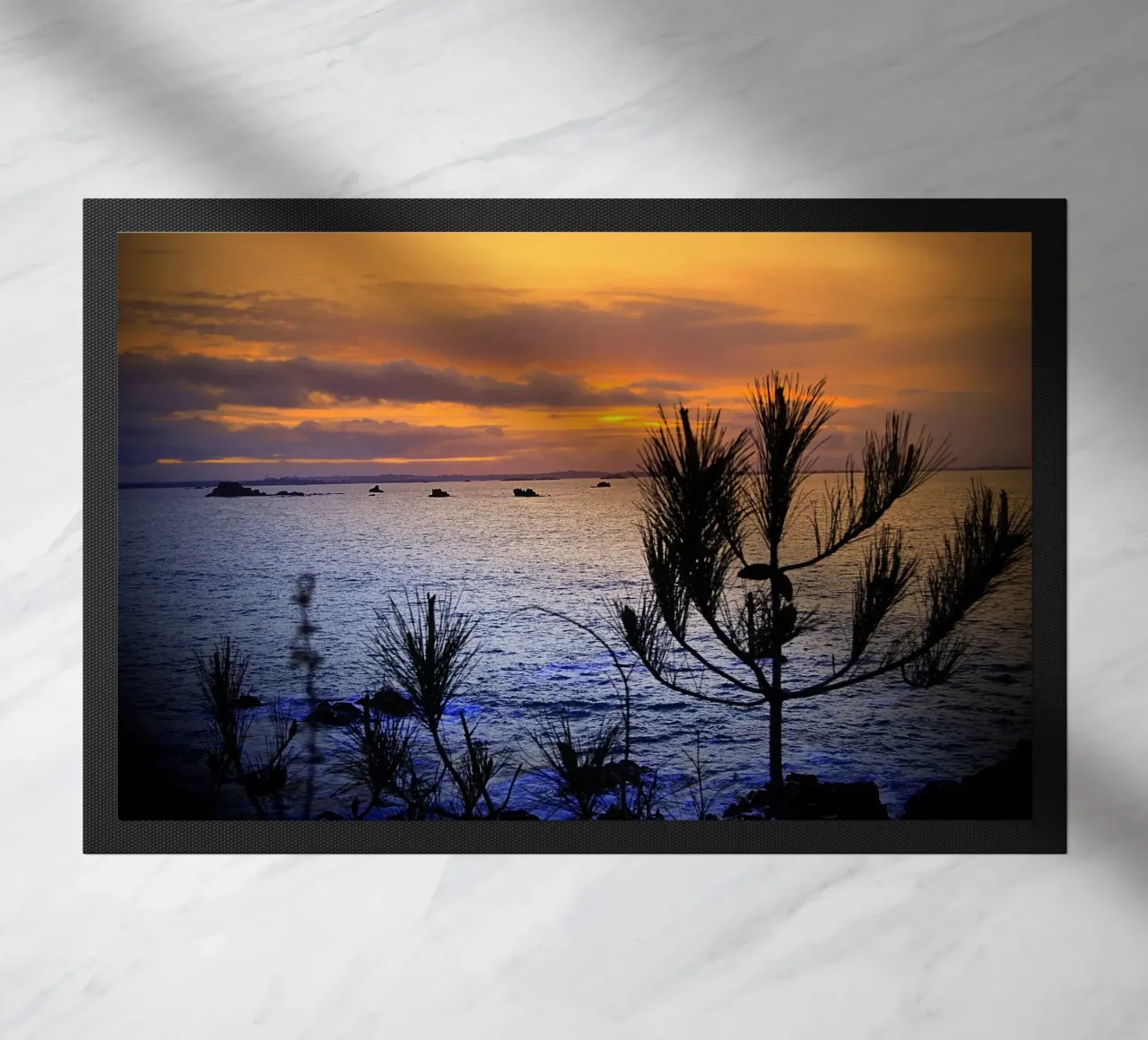 FAA168 zerbino da Thierry vobmann photography