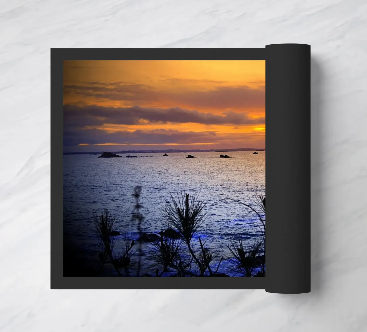 FAA168 zerbino da Thierry vobmann photography