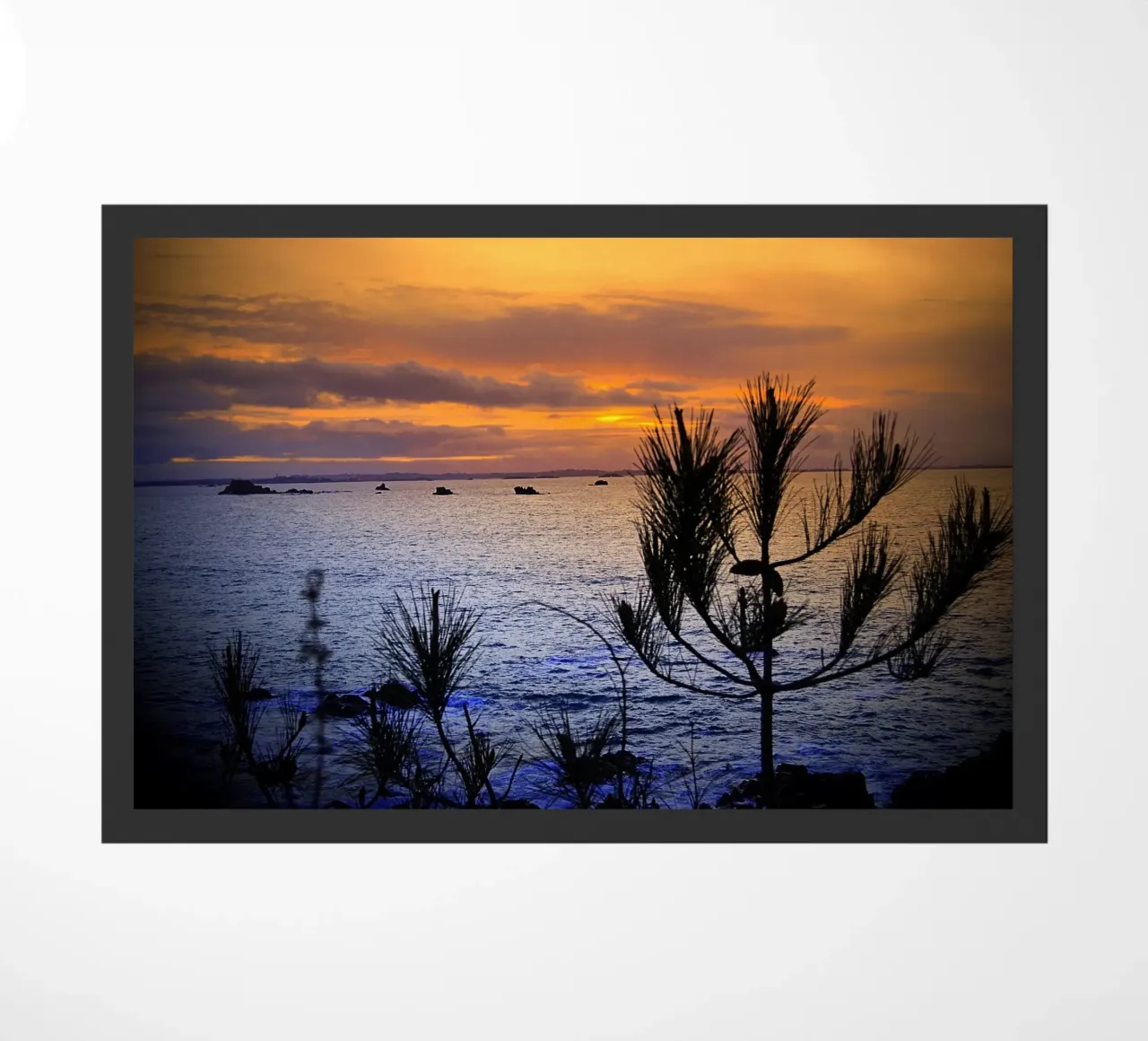 FAA168 zerbino da Thierry vobmann photography