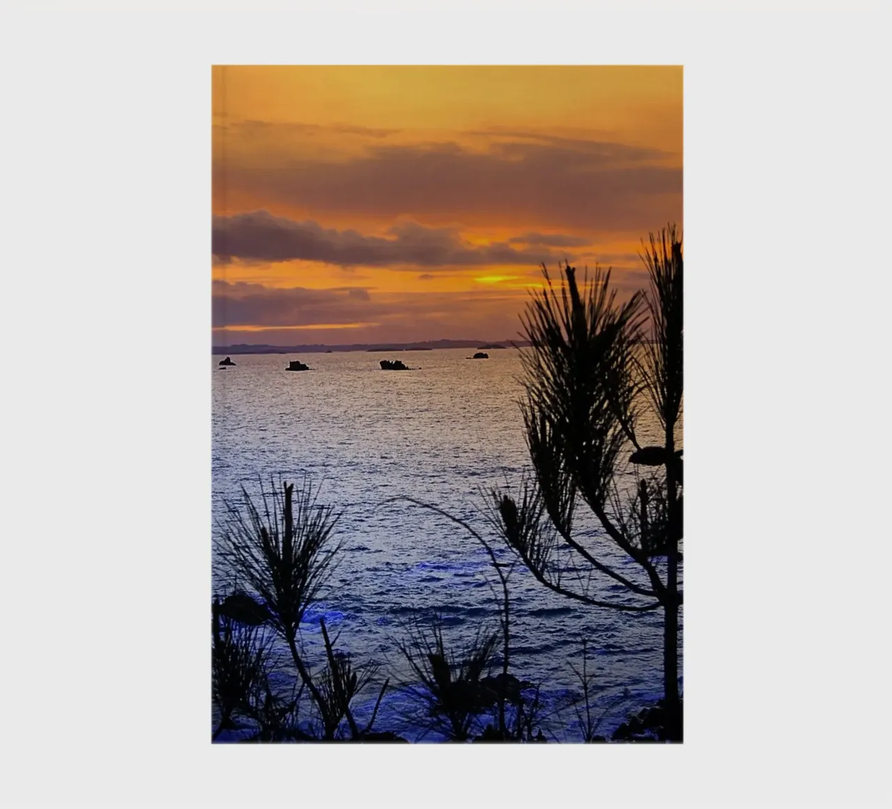 FAA168 notebook by Thierry vobmann photography