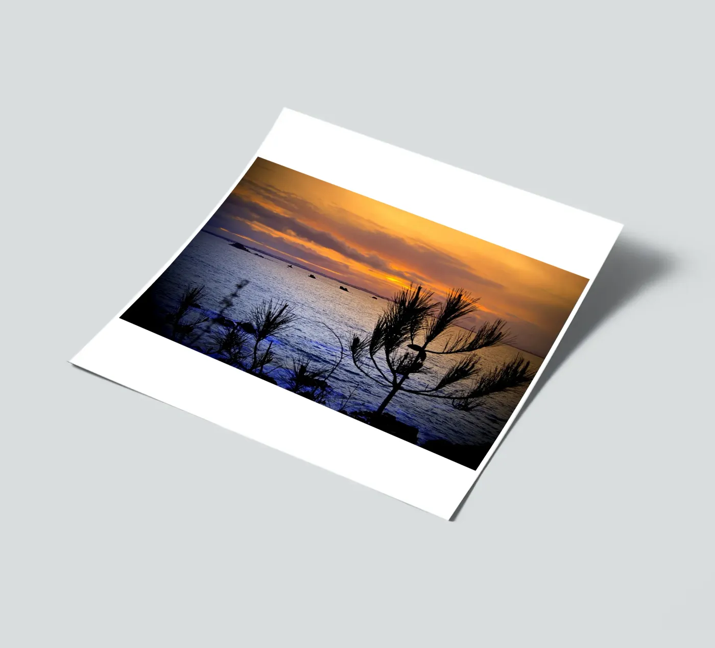 FAA168 sticker sheet by Thierry vobmann photography