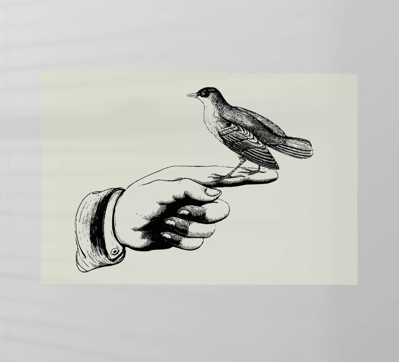 Bird in the hand pellicola backlit da Jacqueline Maldonado