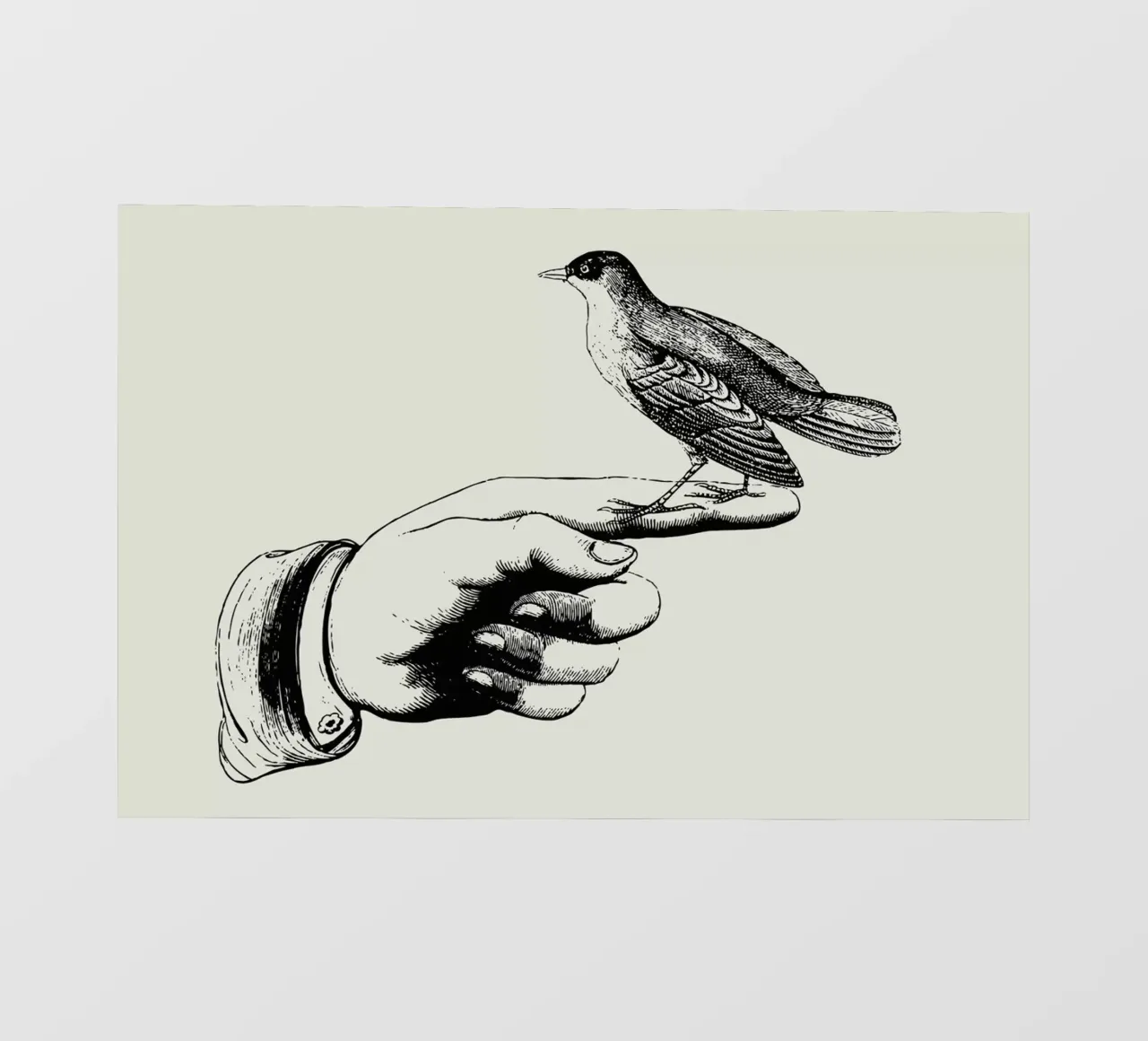Bird in the hand pellicola backlit da Jacqueline Maldonado