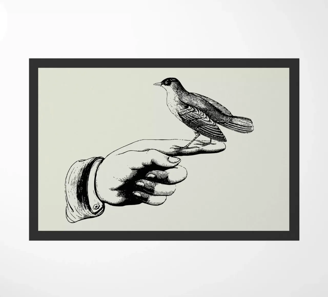 Bird in the hand zerbino da Jacqueline Maldonado